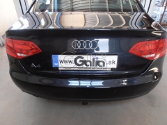 teglich-za-audi-a4-2007g-12