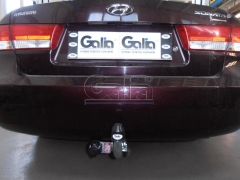 teglich-za-hyundai-sonata-2004-11