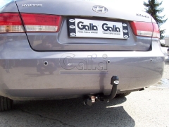 teglich-za-hyundai-sonata-2004-6