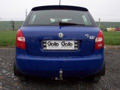 teglich-za-skoda-fabia-1999-8